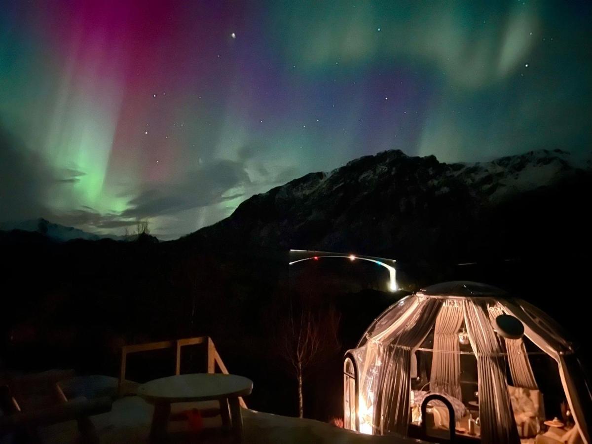 Lofoten Glampingdome Myrland المظهر الخارجي الصورة