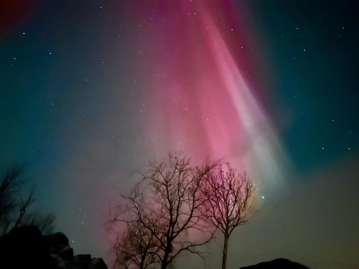 Lofoten Glampingdome Myrland المظهر الخارجي الصورة