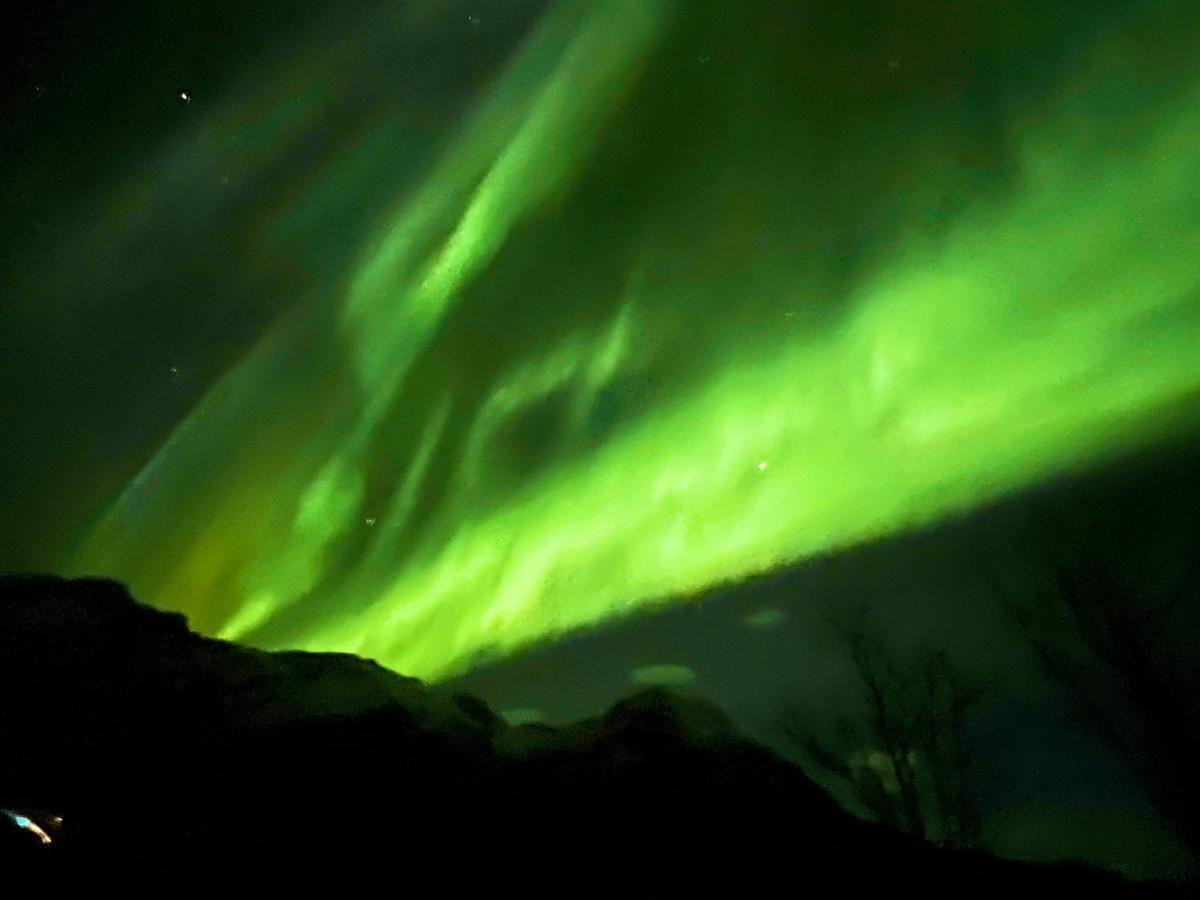 Lofoten Glampingdome Myrland المظهر الخارجي الصورة