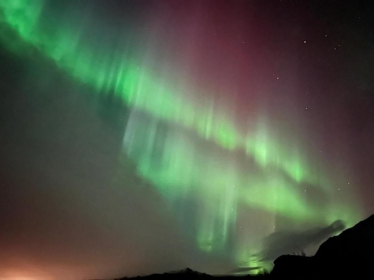Lofoten Glampingdome Myrland المظهر الخارجي الصورة