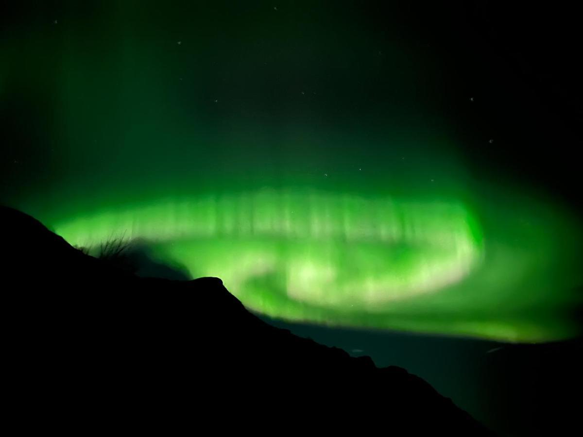 Lofoten Glampingdome Myrland المظهر الخارجي الصورة