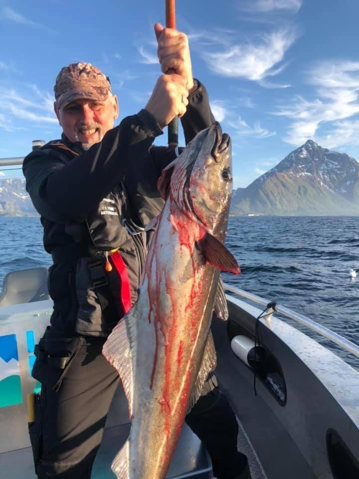 Lofoten Glampingdome Myrland المظهر الخارجي الصورة