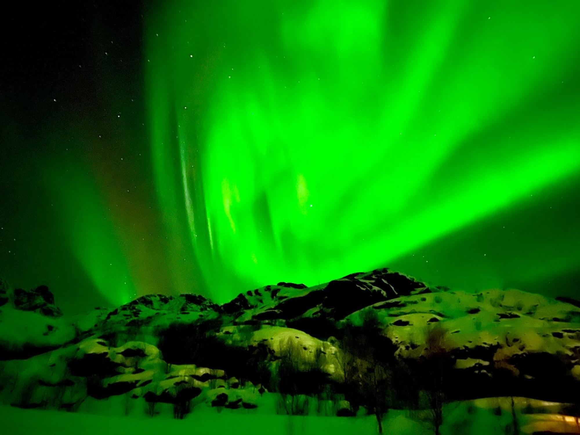 Lofoten Glampingdome Myrland المظهر الخارجي الصورة