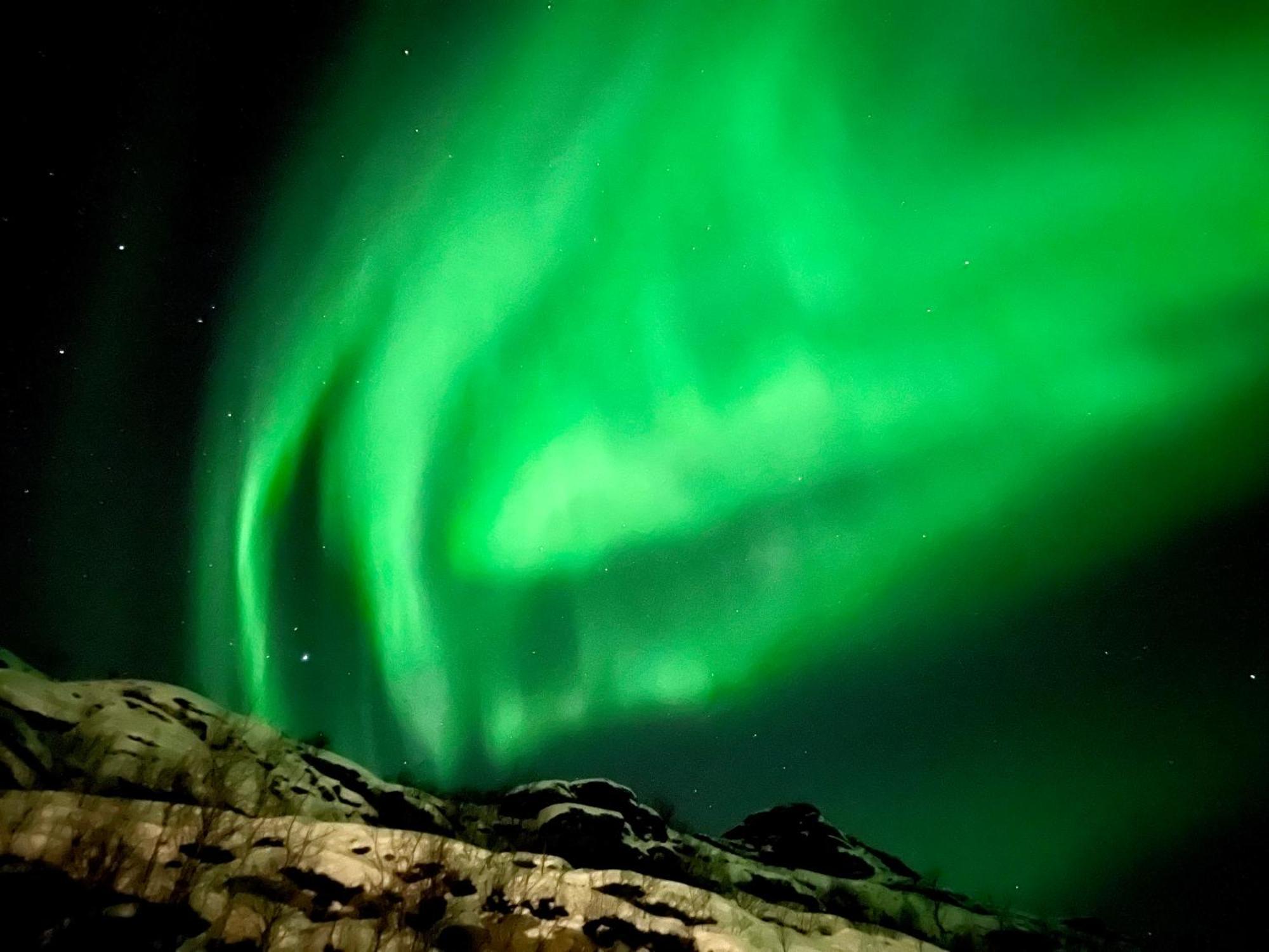 Lofoten Glampingdome Myrland المظهر الخارجي الصورة