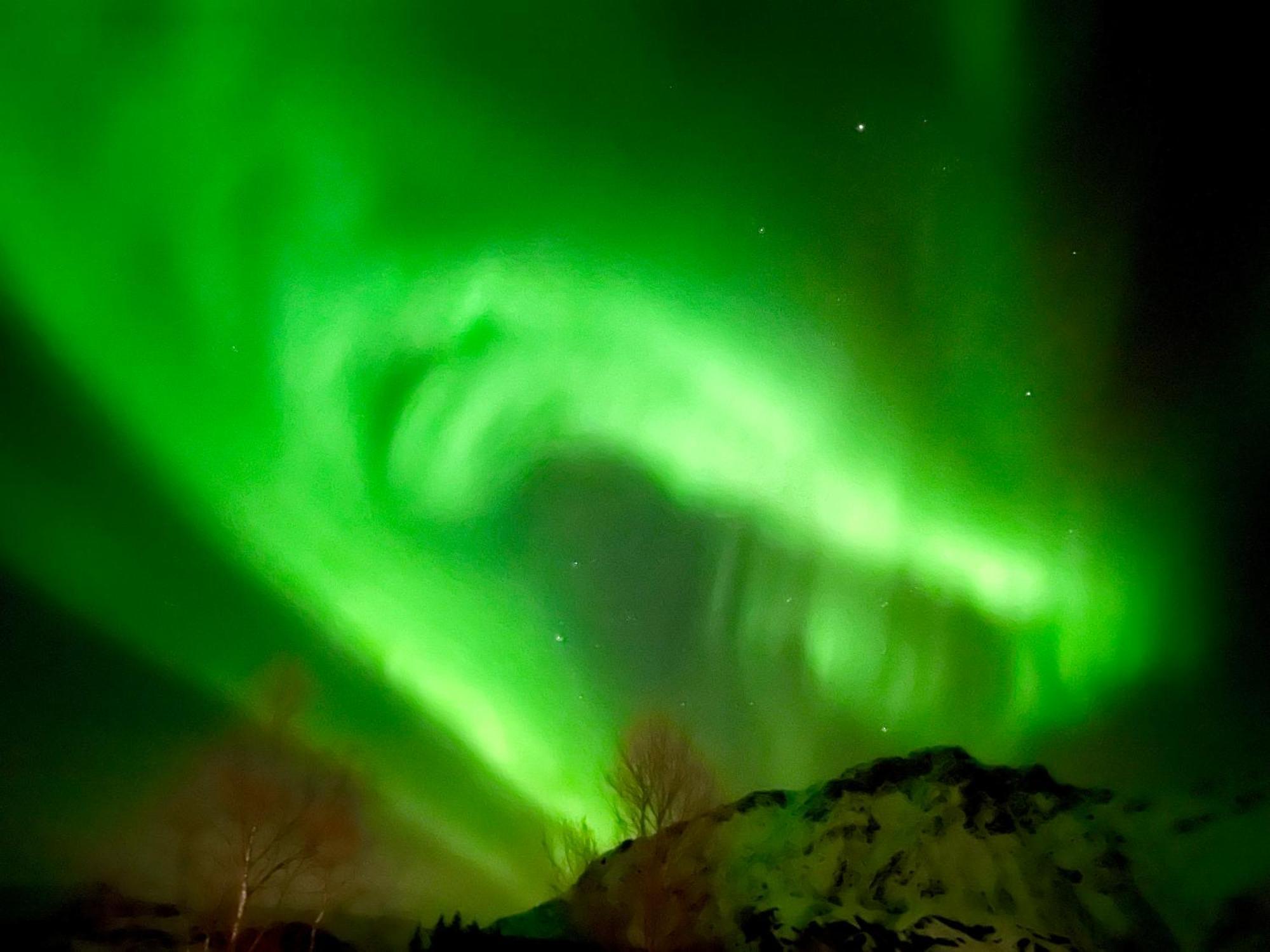 Lofoten Glampingdome Myrland المظهر الخارجي الصورة