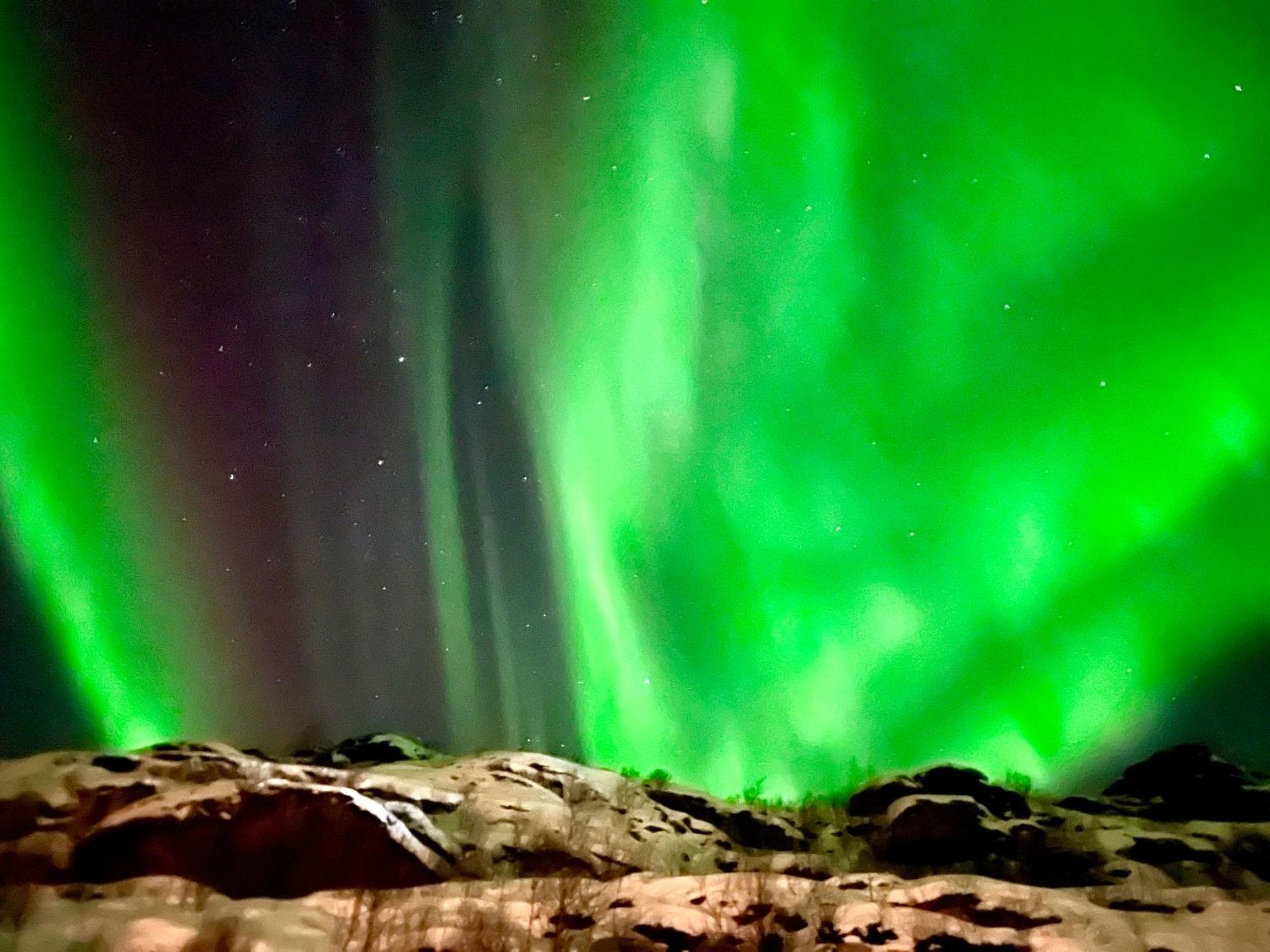 Lofoten Glampingdome Myrland المظهر الخارجي الصورة
